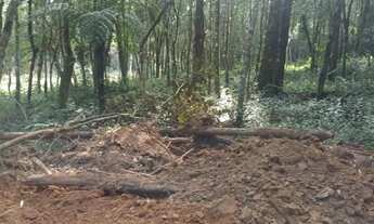 Imagem 2: Terreno 1000m2 em ibiuna