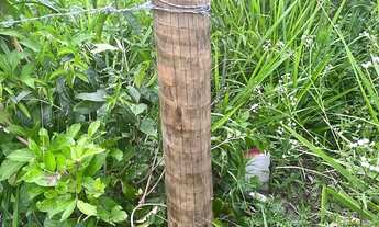 Imagem 2: Terreno no Jacaré Niterói