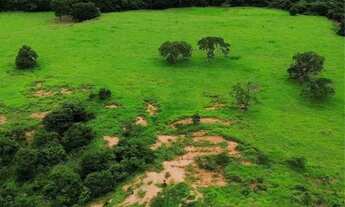 Imagem 3: Venda! Fazenda / sítio com venda por R$16.000.000