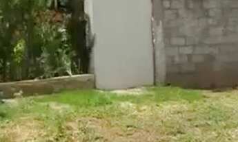 Imagem 5: Lote Parqville Jacarandá 312m²