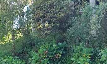 Imagem 4: Terreno em rancho queimado