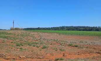 Imagem 2: FAZENDA DE CULTURA C/ PIVÔS EM MORRINHOS 71,5 ALQUERES - Morrinhos - GO