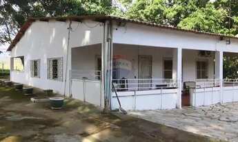 Imagem 4: DF290 e DF180 CHÁCARA PONTE ALTA GAMA 5,6 hectares Alto Potencial Hídrico