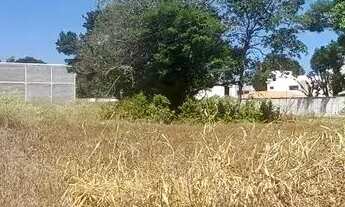 Imagem 5: Imóvel para aluguel tem 450 metros quadrados em Povoado Barra Nova - Marechal Deodoro - AL