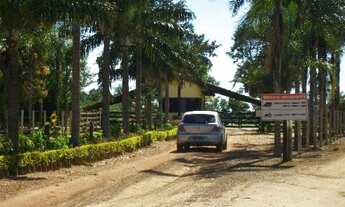 Imagem 4: Chácara condomínio fechado Vale das Cachoeiras, Aragoiânia