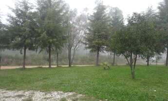 Imagem: Barbada. Chácara na Br293