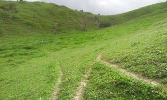 Imagem 7: Sitio 2,5 alqueires