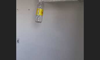 Imagem 3: Apartamento Kitnet com 2 dormitórios