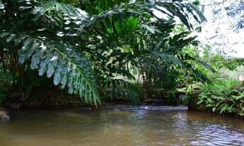 Imagem 6: Fazenda com 42 hectares em bonito/PE a venda