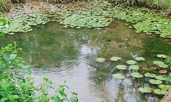 Imagem: R$150 mil sitio no cupiuba em Castanhal