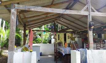 Imagem 7: Sitio 50x500 com plantação de açaí e varias arvores frutiferas por 160 mil reais