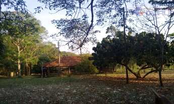 Imagem 4: Chácara residencial à venda, Zona Rural, São José do Rio Preto