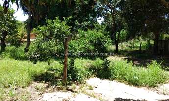 Imagem 4: Chacrinha no Muni de Cuiabá -MT