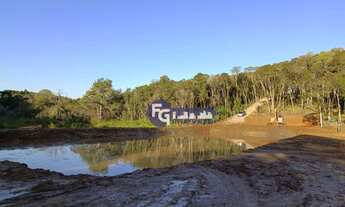 Imagem 4: Chácara com 1 dormitório à venda, 5500 m² por R$ 199.900,00 - Contenda - São José dos Pinh