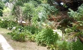 Imagem 7: Chácara contendo 2.500 m² a 5 km de Marmelópolis - Sul de Minas Gerais