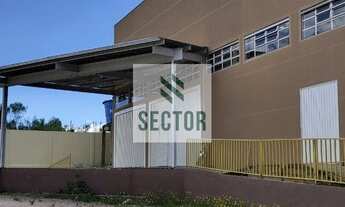 Imagem 2: Galpão / Depósito / Armazém - São José dos Pinhais