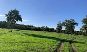 Imagem: Excelente Fazenda no Muni. De São Félix