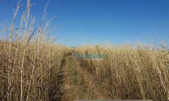 Imagem 5: Fazenda a venda - área rural