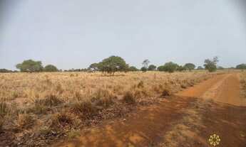 Imagem 3: Fazenda de 490 Hectares à venda em Marianópolis do Tocantins/TO