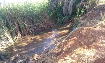 Imagem 5: CHÁCARA EM ANICUNS