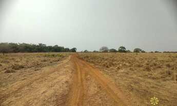 Imagem: Fazenda de 490 Hectares à venda em Marianópolis