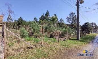 Imagem 7: Terreno à venda, 2508 m² por R$ 698.000,00 - São Gabriel - Colombo/PR