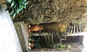 Imagem 4: CASA AMPLA E CONFORTÁVEL EM LOCAL AGRADÁVEL NA FREGUESIA DE JACAREPAGUÁ