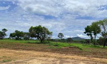 Imagem 5: Fazenda em Palmeiropolis-TO. 60 mil por alqueire