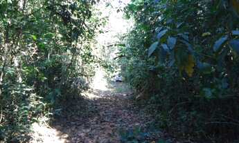Imagem 5: 475,00 Hectares, Terra para Lavoura e Pecuária, sem abertura, Nova Maringá-MT