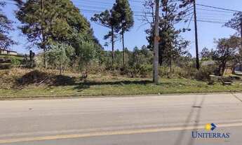 Imagem 2: Terreno à venda, 2508 m² por R$ 698.000,00 - São Gabriel - Colombo/PR