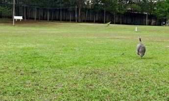 Imagem 4: Terreno em Condomínio para Venda em Sorocaba, Jardim do Paço