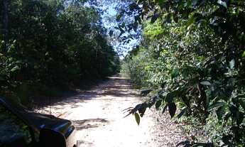 Imagem 4: 475,00 Hectares, Terra para Lavoura e Pecuária, sem abertura, Nova Maringá-MT