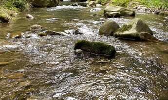 Imagem 7: Urubici/Sítio/Chácara á venda de 3.0 Hectares