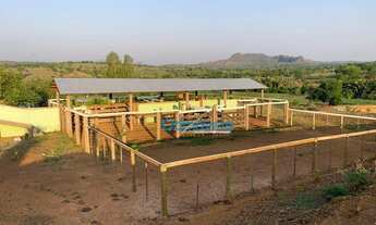 Imagem 5: Fazenda a venda - área rural