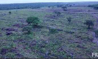 Imagem 7: Fazenda Para Lavoura Safra e Safrinha