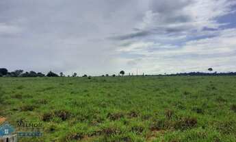 Imagem: Fazenda 150 alqueires Região de Ariquemes