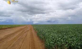 Imagem 4: Fazenda em Rondonópolis à venda, m² por R$ 28.000.000 - Zona Rural - Rondonópolis/MT