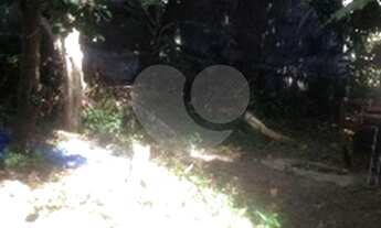 Imagem 6: São Paulo - Casa Comercial - SAÚDE