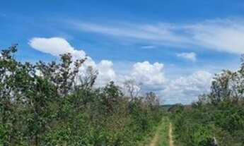 Imagem 2: FAZENDA DE 2.230 HECTARES PARA IRRIGAÇÃO EM SÃO ROMÃO - MG