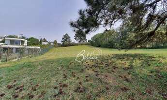 Imagem 4: Terreno à venda, 3226 m² por R$ 1.300.000 - Condomínio Pousada Quatro Barras/PR