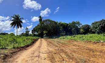 Imagem 7: Condominio - Lotes de 200 metros quadrados em Malícia (Abrantes) - Camaçari - BA