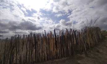 Imagem 3: Fazenda para venda próxima a Quixeramobim, 2500 hectares, Ceará