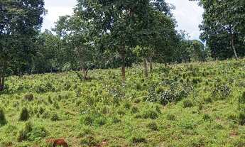 Imagem 7: VENDO SITIO NA REGIÃO DO SALTO DO ITIQUIRA GOIAS