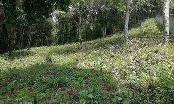 Imagem 2: Terreno à venda, 816 m² por R$ 280.000,00 - Cônego - Nova Friburgo/RJ