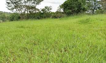 Imagem 2: Terrenos de 2 hectares com terra de plantio, lagoa e vista linda a 50minutos de BH