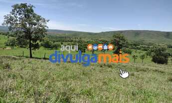 Imagem 6: Fazenda de 36 alqueires para pecuária na região de Formosa GO