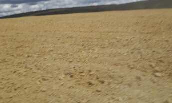 Imagem 4: FAZENDA PARA LAVOURA - São João da Aliança - GO / Água Fria -GO