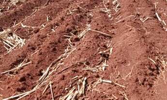 Imagem 3: Fazenda 35 Alqueires, Próximo Limeira-Sp