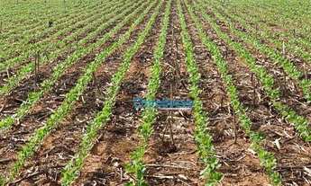 Imagem 2: Fazenda a venda - área rural