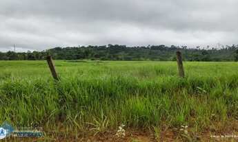 Imagem 4: Fazenda 198 alqueires Região de Cacaulândia